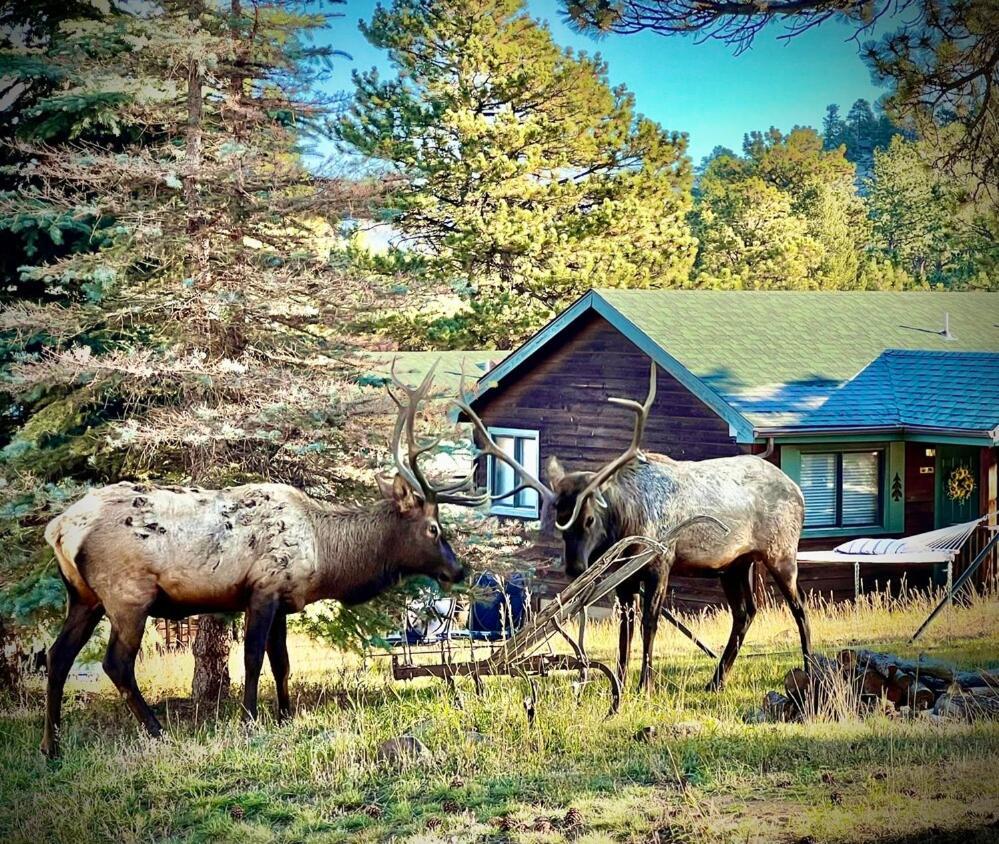 Mountain Shadows Resort Estes Park Esterno foto