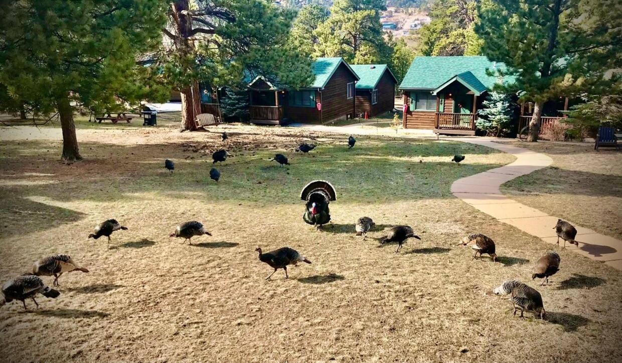 Mountain Shadows Resort Estes Park Esterno foto