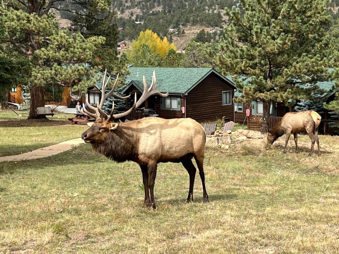 Mountain Shadows Resort Estes Park Esterno foto