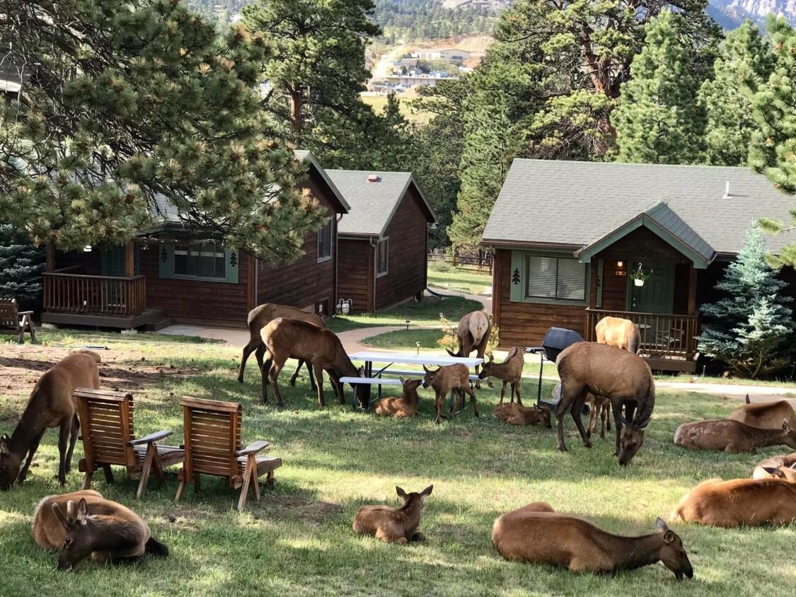 Mountain Shadows Resort Estes Park Esterno foto