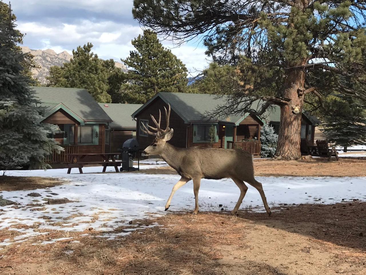 Mountain Shadows Resort Estes Park Esterno foto