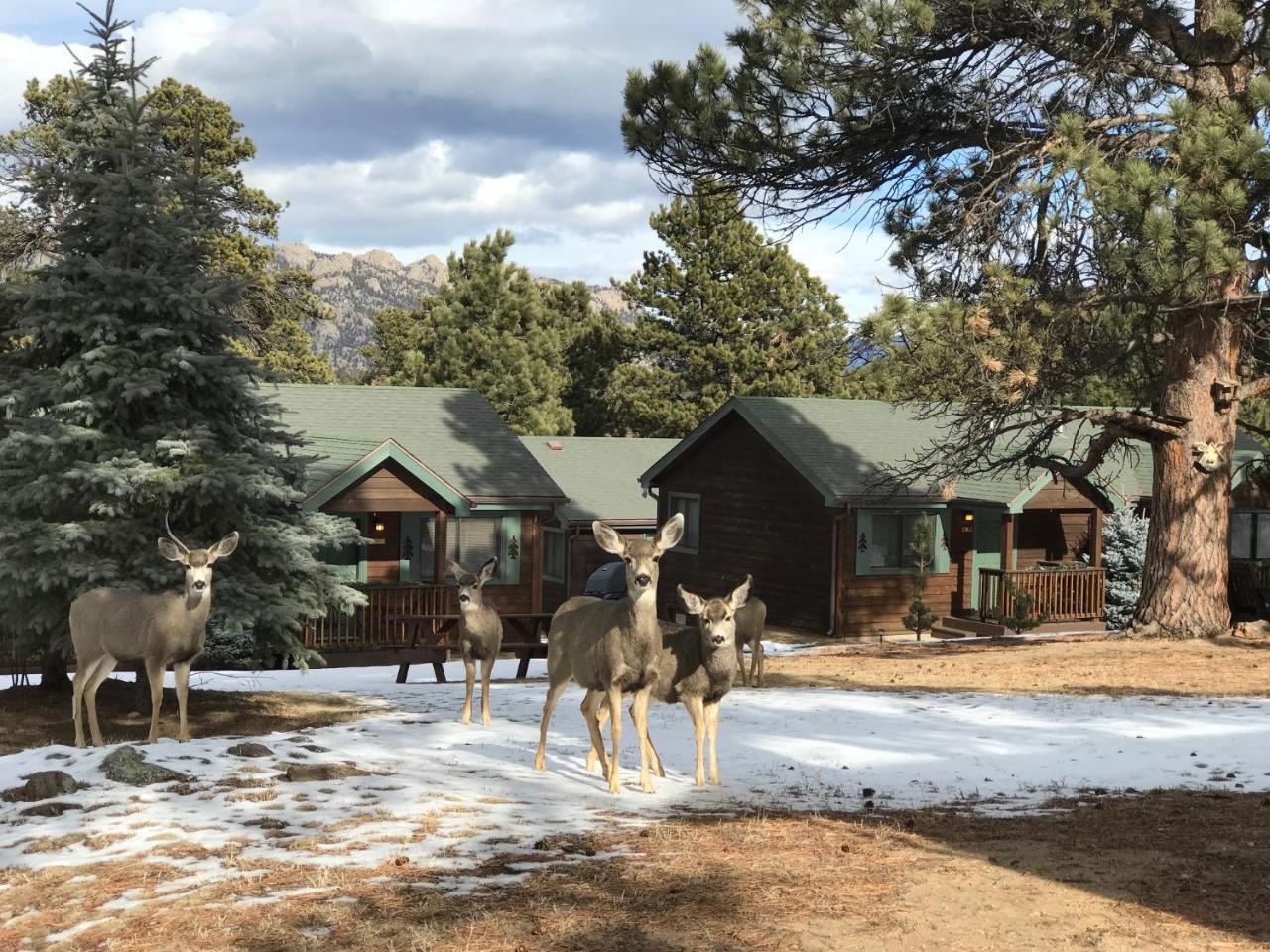 Mountain Shadows Resort Estes Park Esterno foto